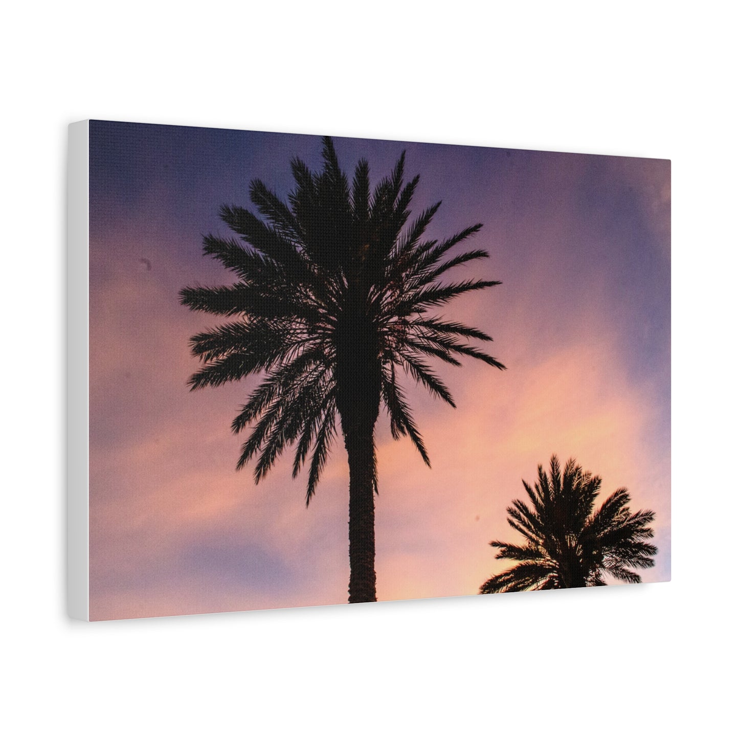 Tropicana Palms