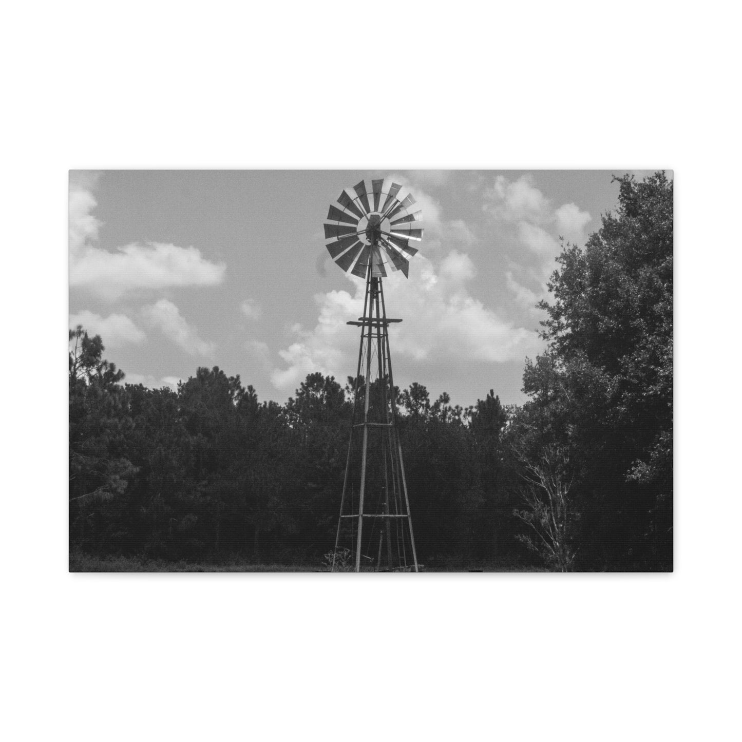 Whispers in the Wind