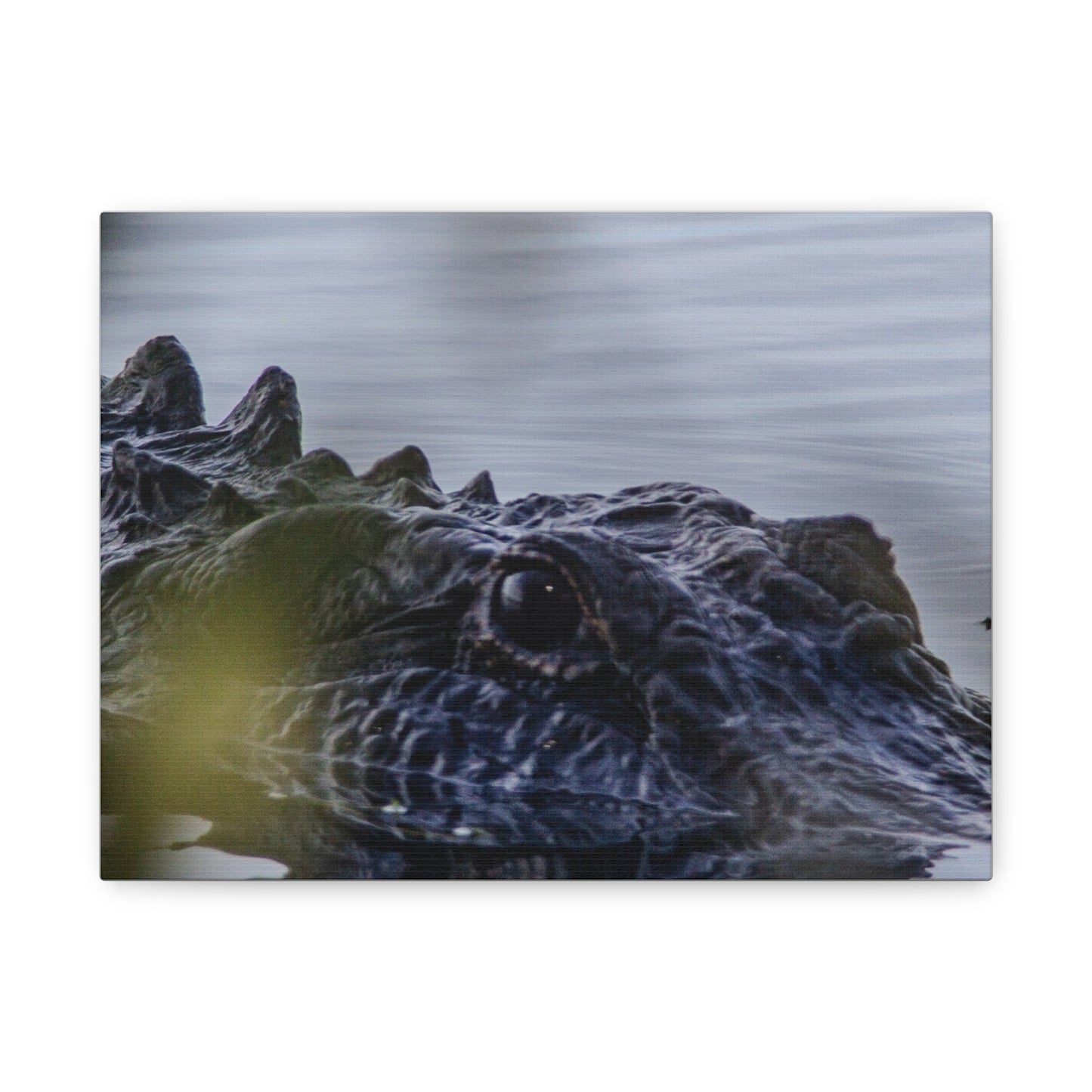 Shallow Watch