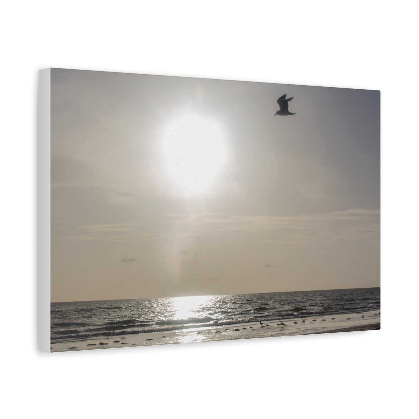 Sunny Shores