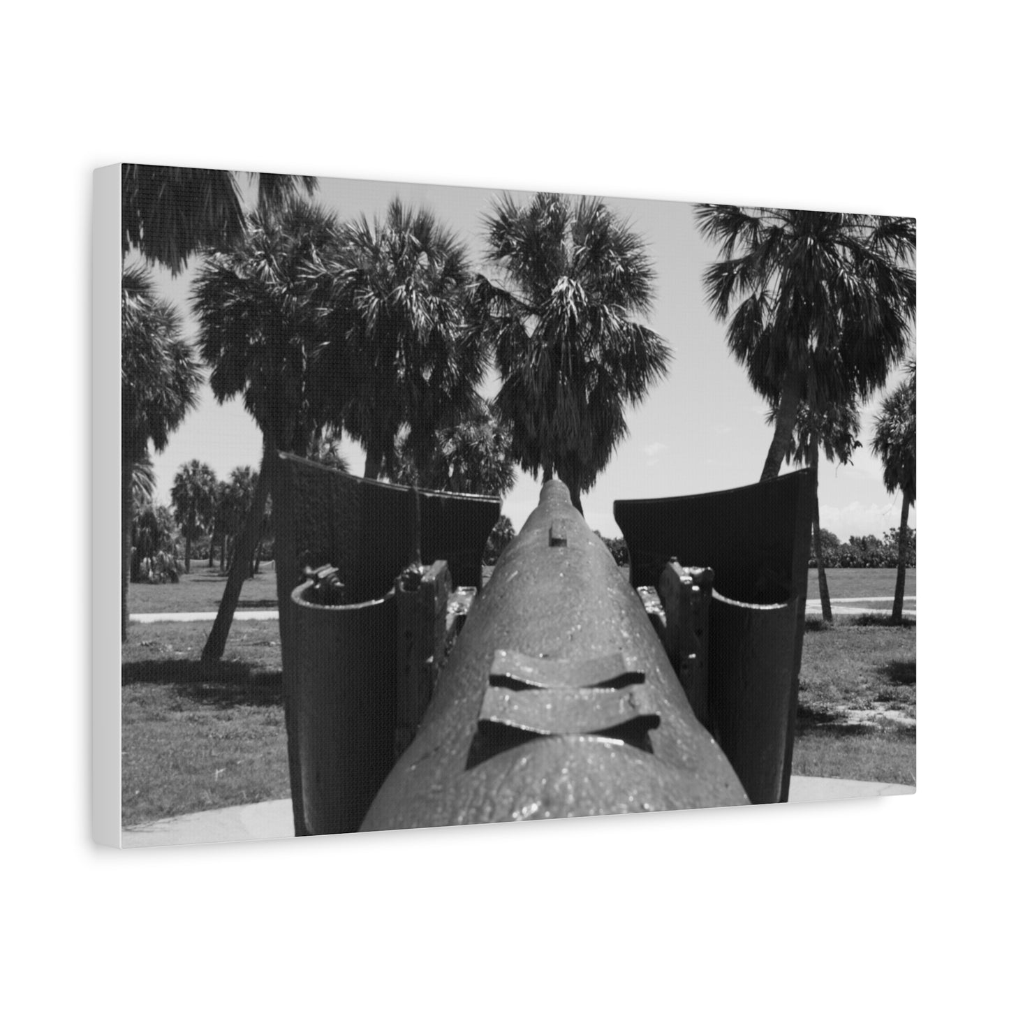 Coastal Defense