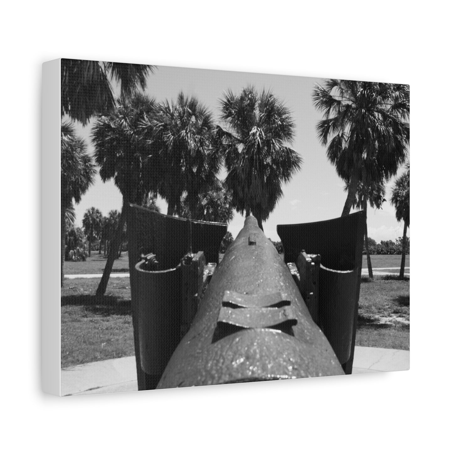 Coastal Defense