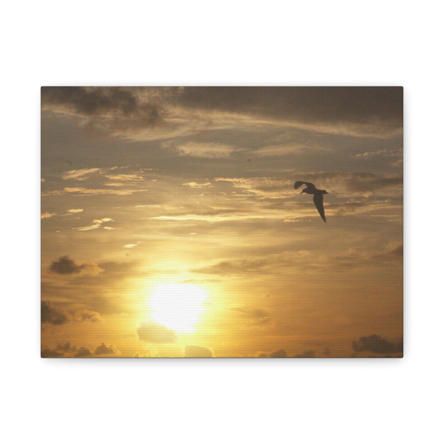 Golden Glide