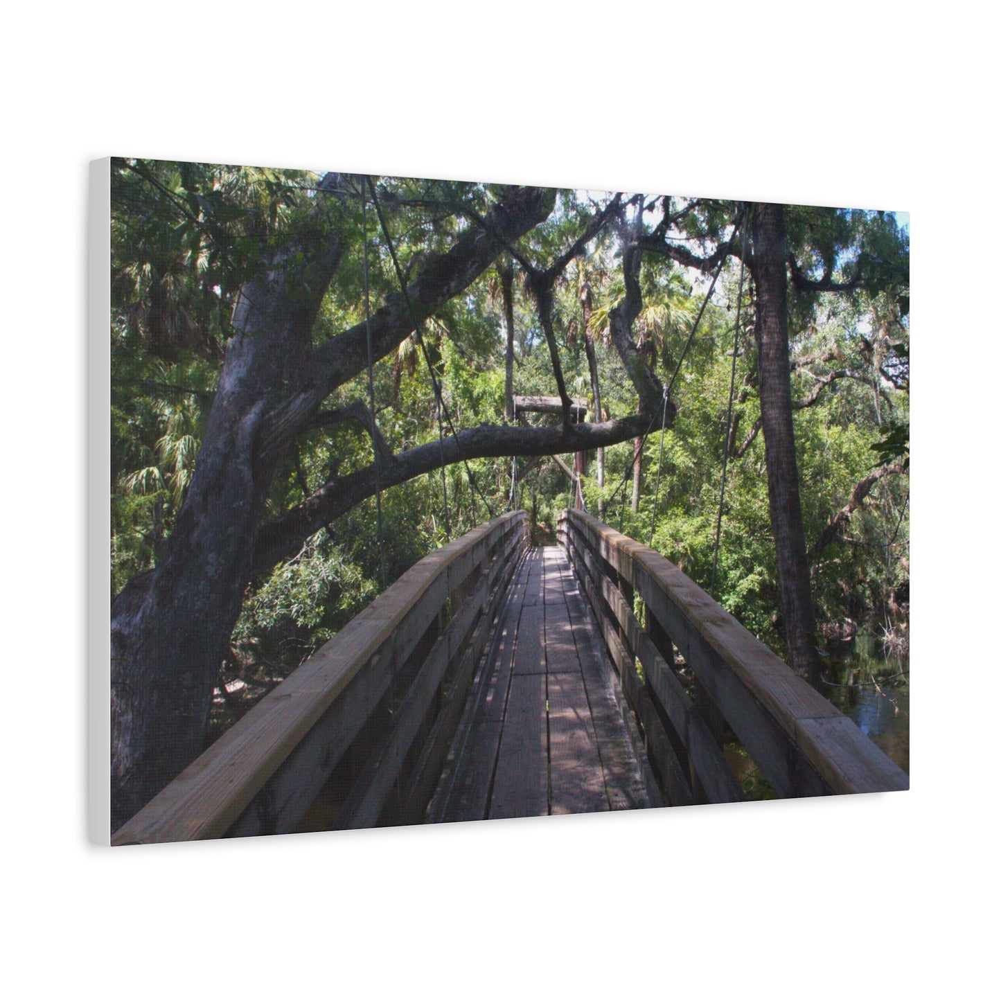 Canopy Crossing