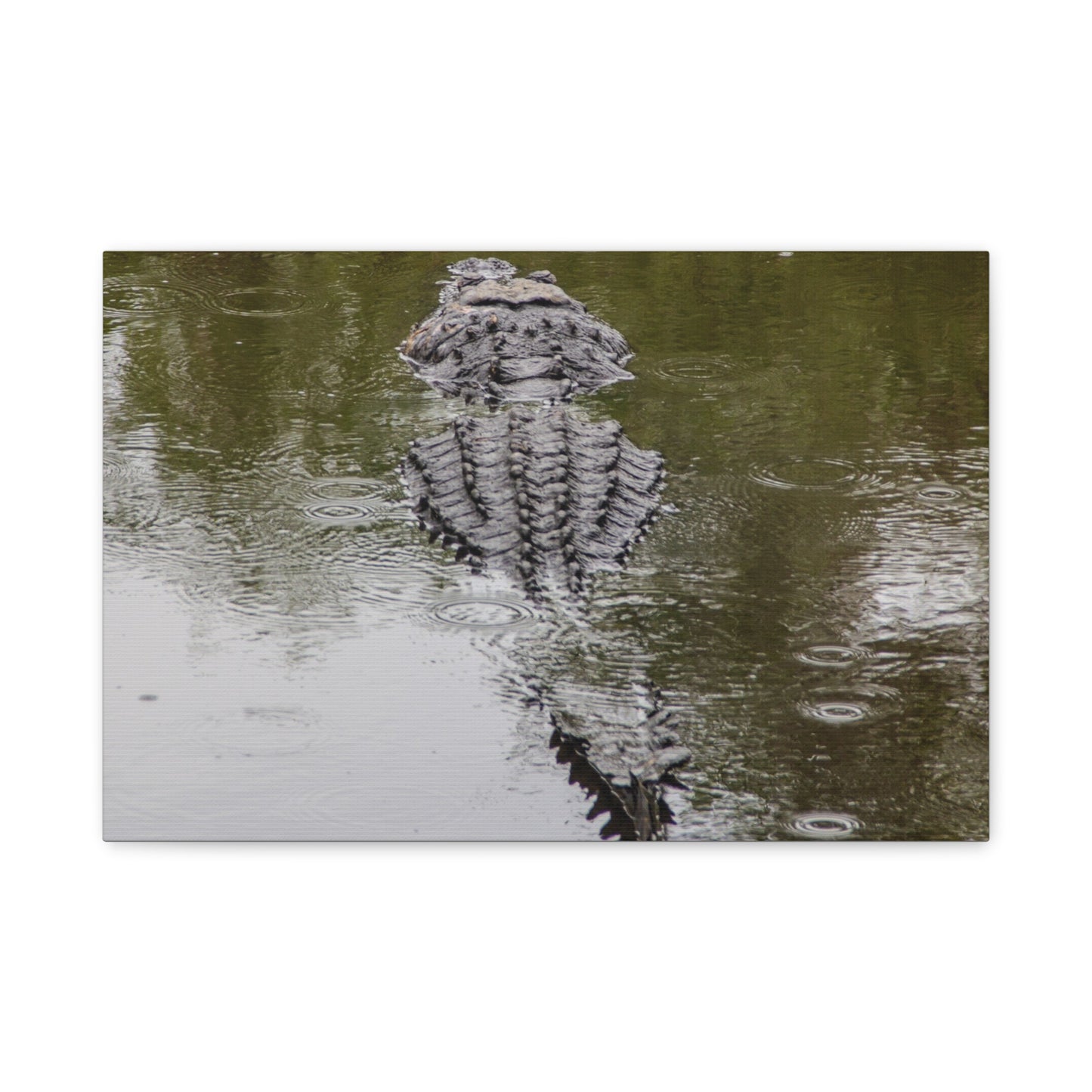 King Lizard