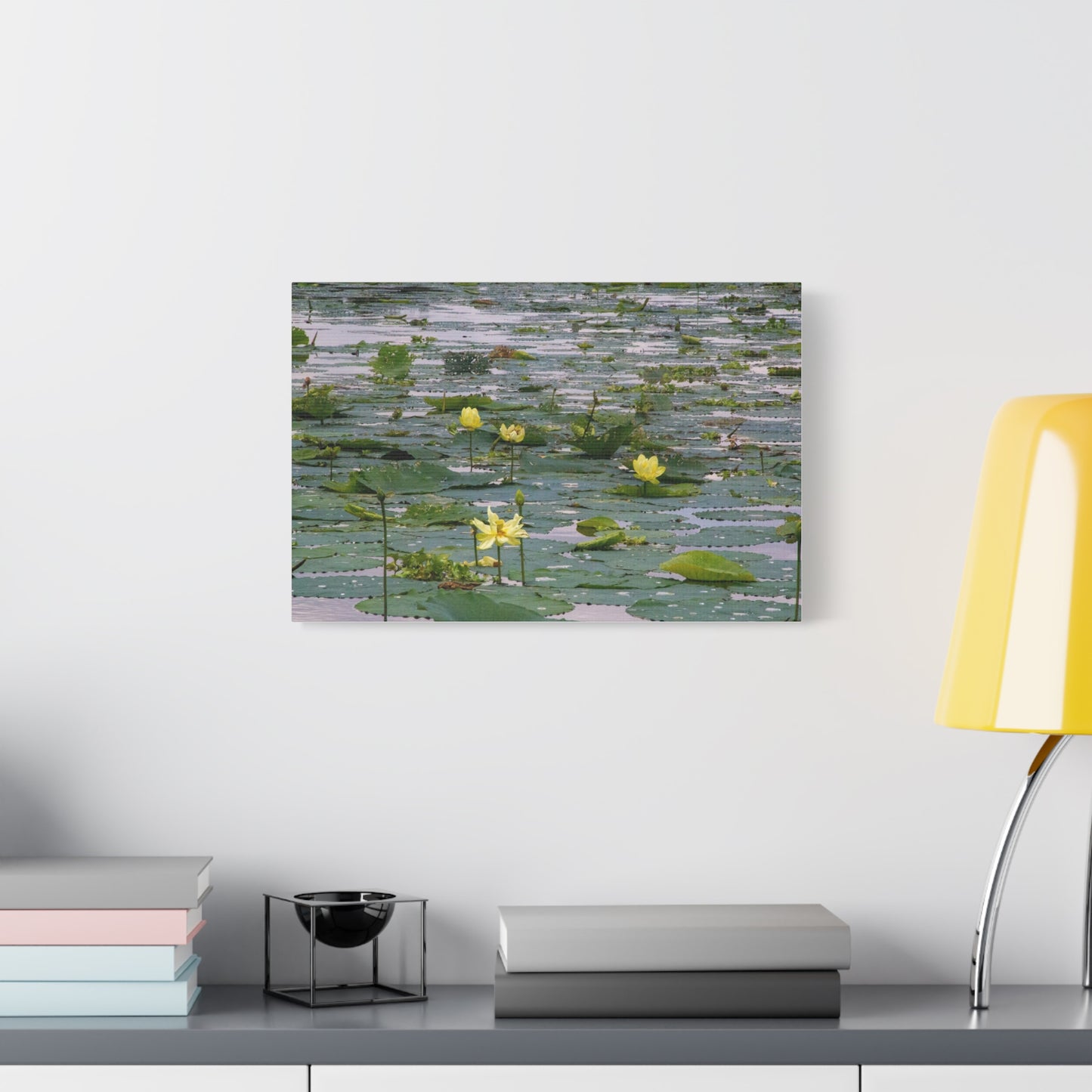 Golden Lillies