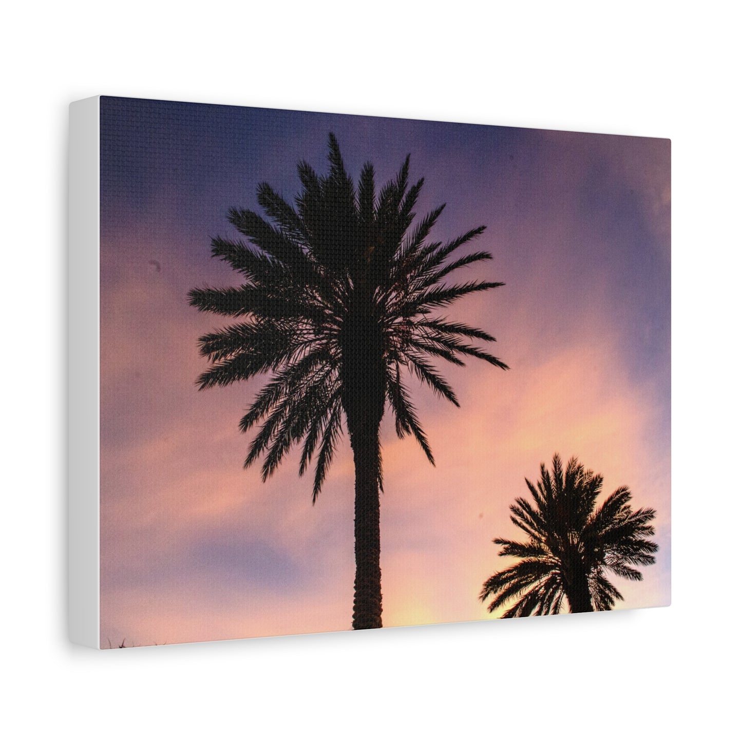 Tropicana Palms