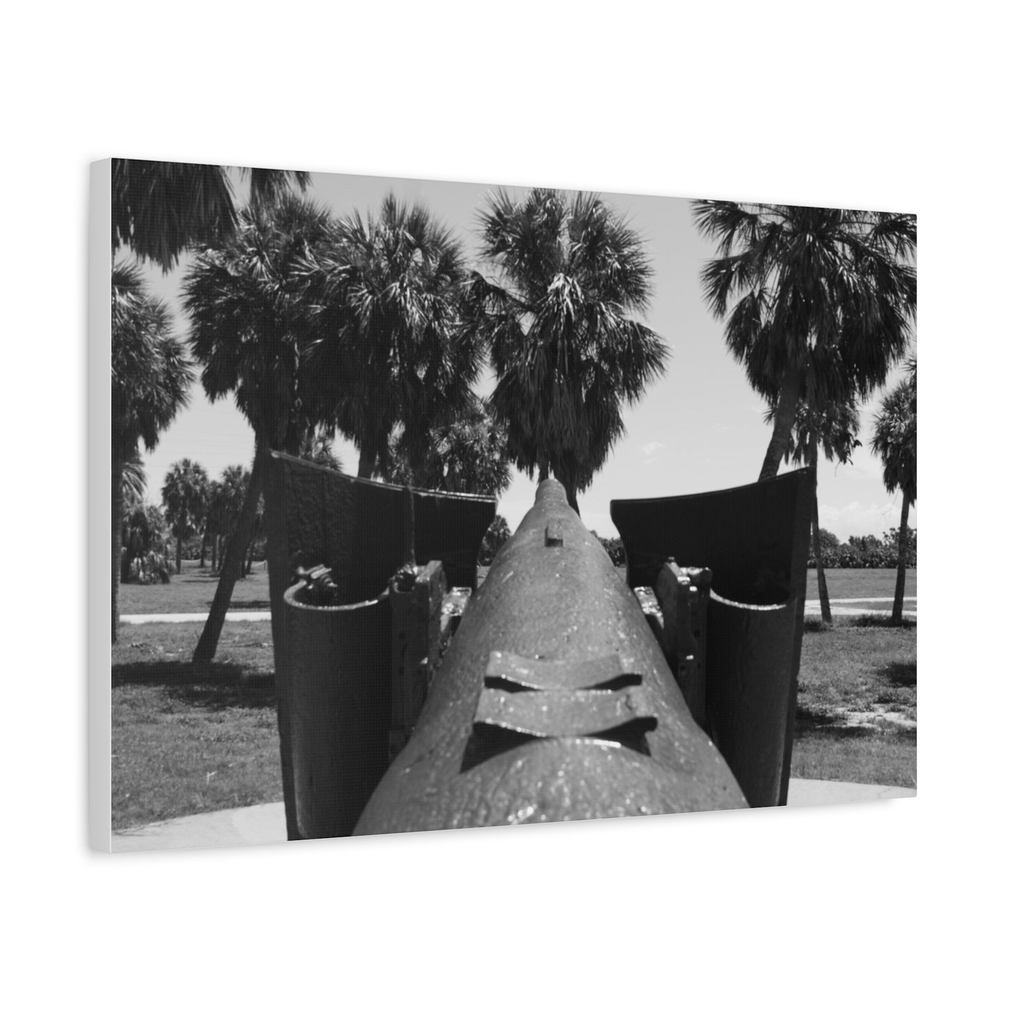 Coastal Defense