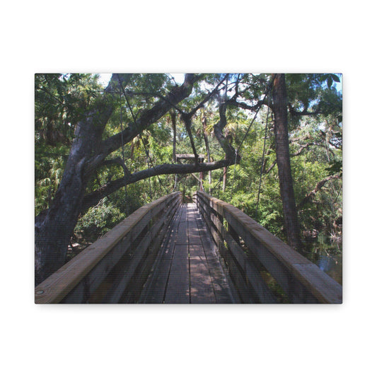 Canopy Crossing