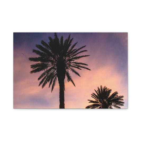 Tropicana Palms