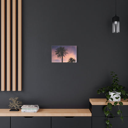 Tropicana Palms