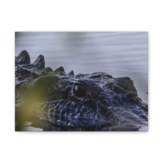 Shallow Watch