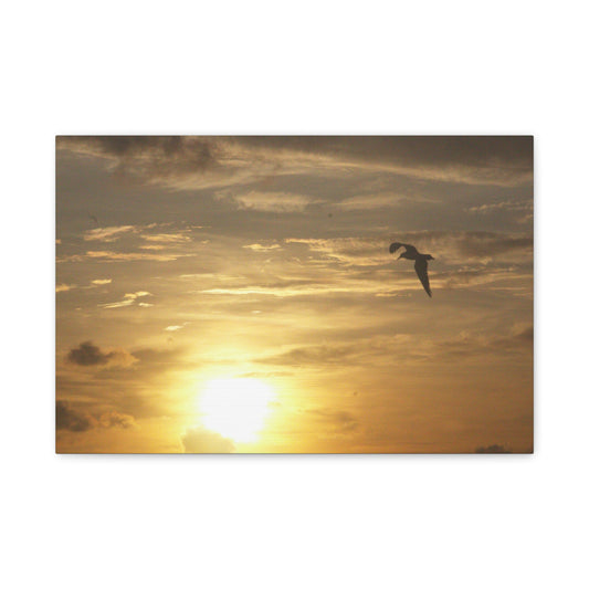 Golden Glide