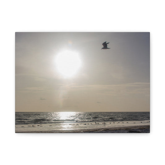 Sunny Shores