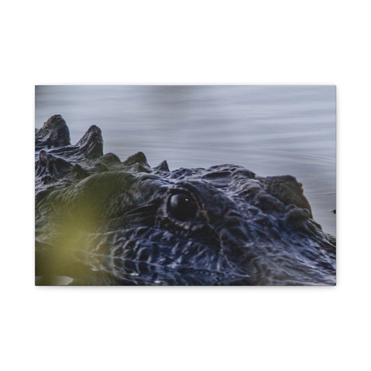 Shallow Watch