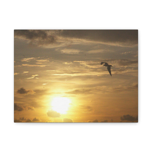 Golden Glide