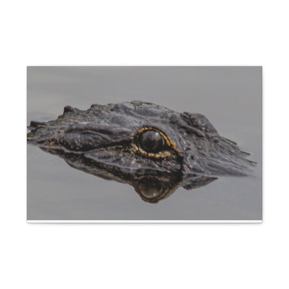 Glassy Gator