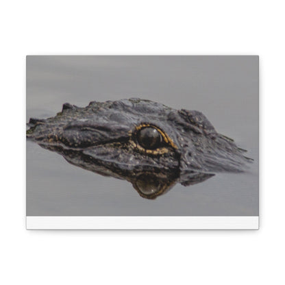 Glassy Gator