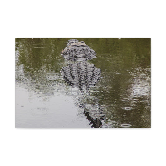 King Lizard