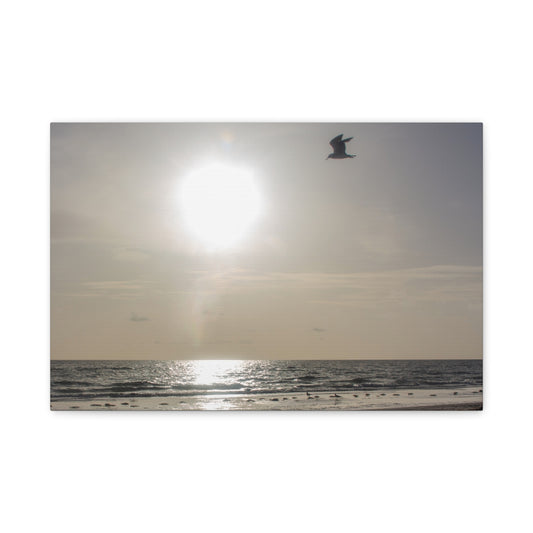 Sunny Shores