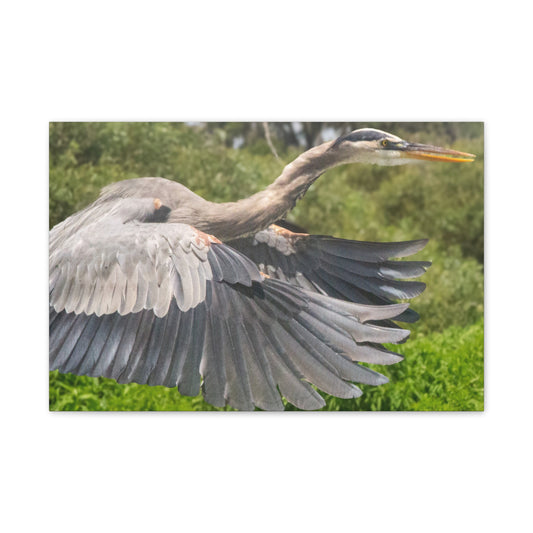 Take Flight