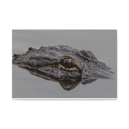 Glassy Gator