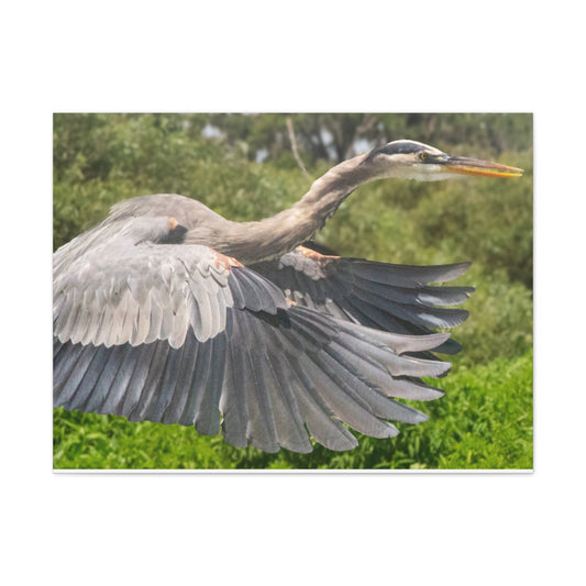 Take Flight