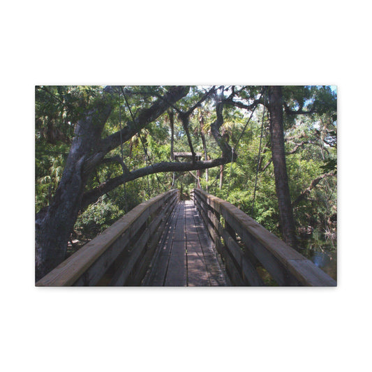 Canopy Crossing