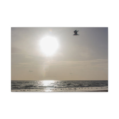 Sunny Shores