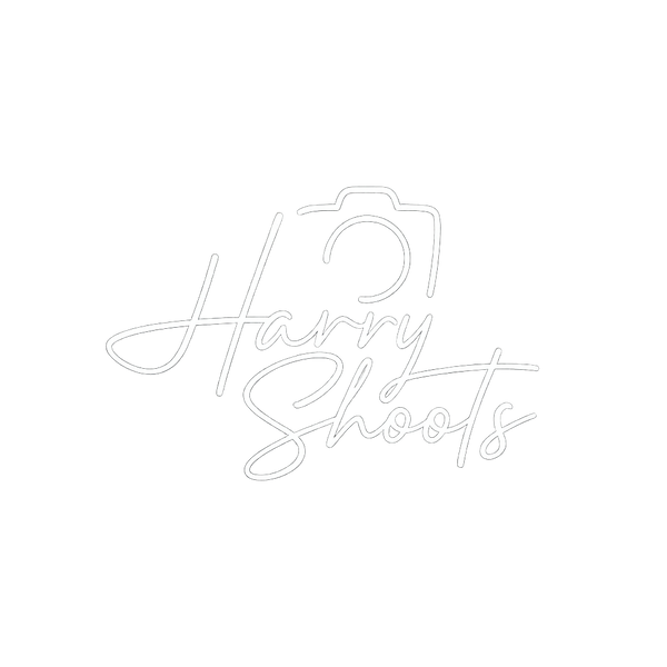 Harry Shoots